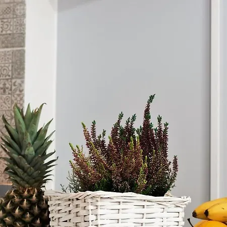 Апартаменты Theapartments Manufaktura