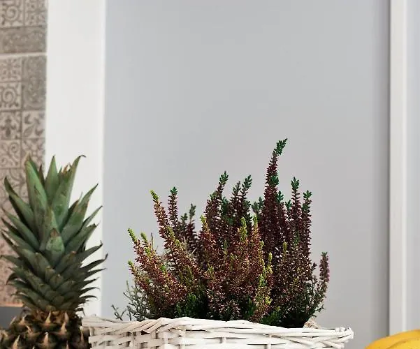 Lejlighed Theapartments Manufaktura